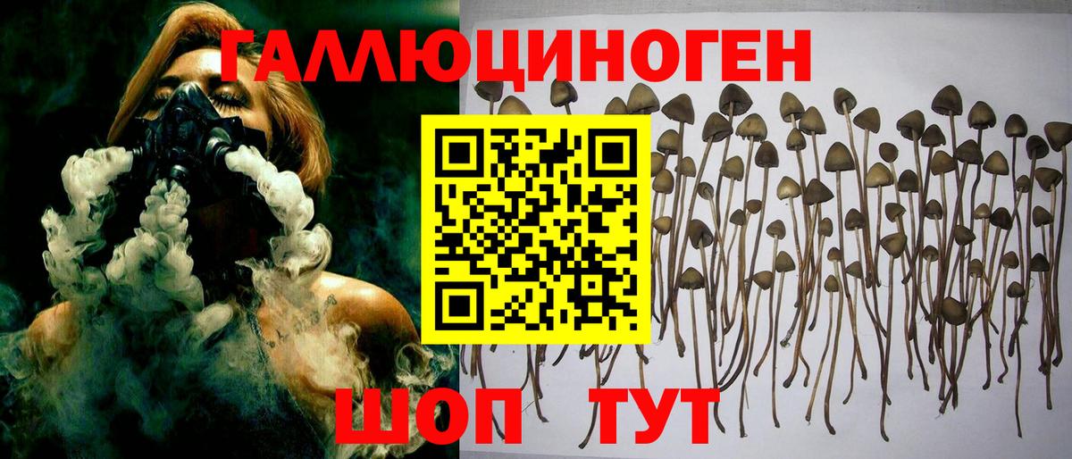 Новочебоксарск  Псилоцибиновые грибы прущие грибы  Вход с VPN 
